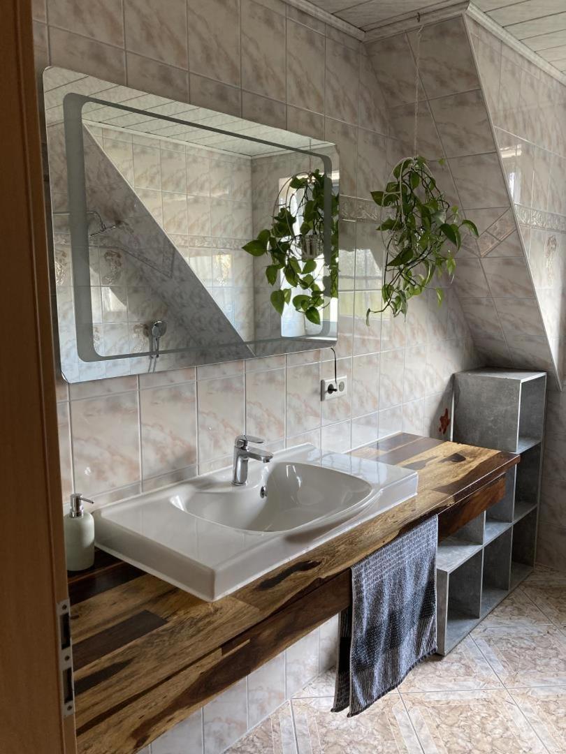 הוסום Neu Ferienwohnung Hofmann מראה חיצוני תמונה